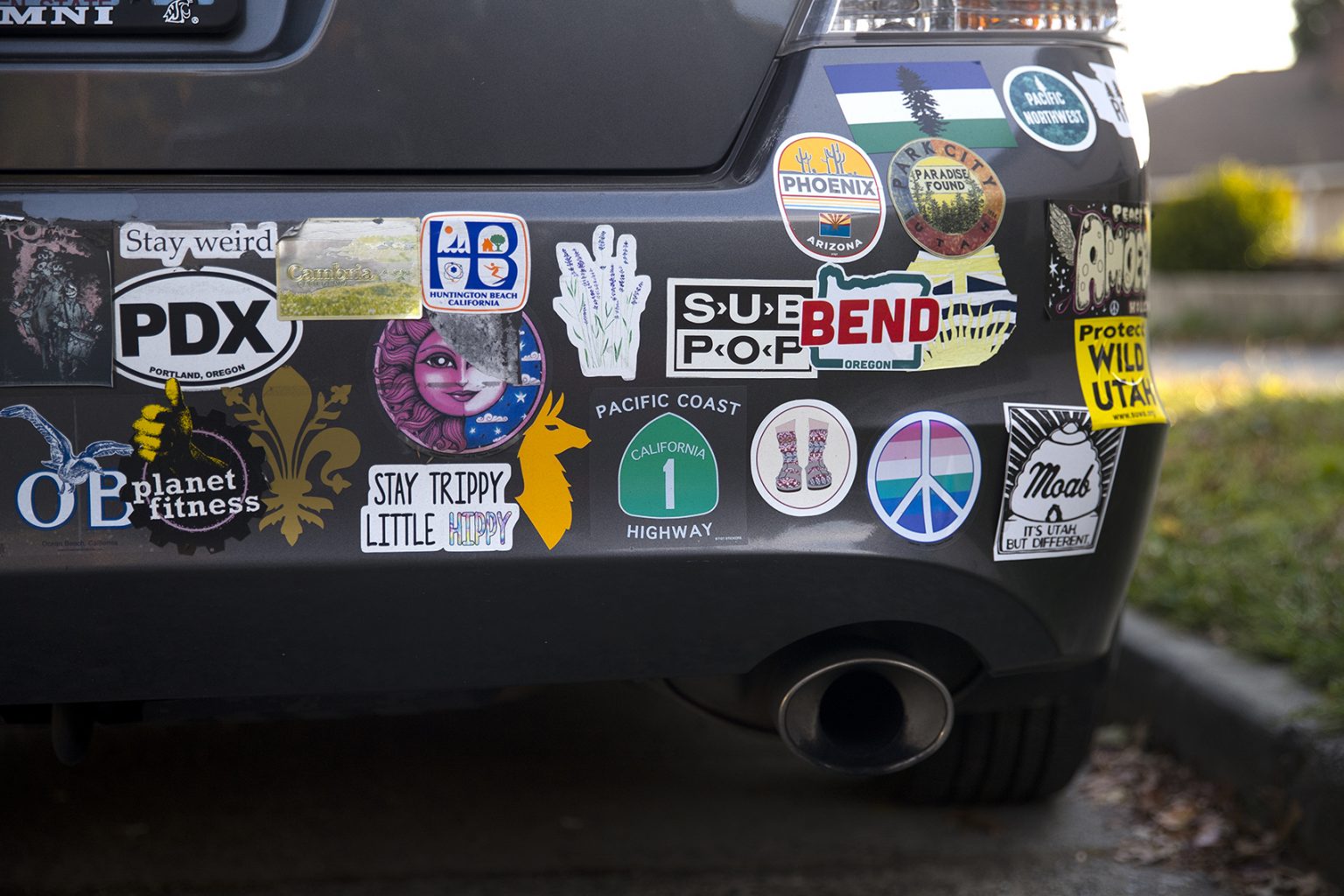 6-tips-for-designing-your-own-bumper-sticker-in-2024-california-beat